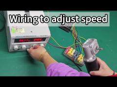 How to test turbine worm gear motor noise ？