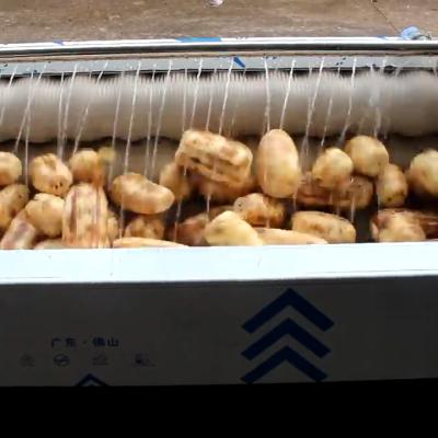 China Roll Fruit Vegetable Processing Machinery Carrot Potato Washing Cleaning Peeling for sale