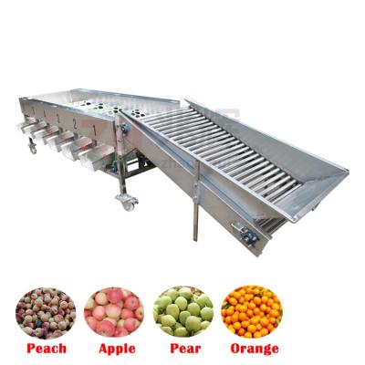 China Stainless Steel Fruit Sorting Machine For Sorting Apple Lemon Potato Oranges for sale