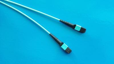 China Cable del remiendo de la fibra del ODM MTP MPO del OEM para Data Center en venta
