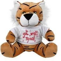 China Brown Tiger With T Shirt Soft Toy Plush Toy for sale