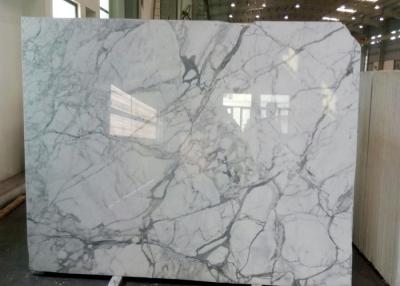 China Natural Statuario Marble Tiles , Customized Size White Marble Floor Tile for sale