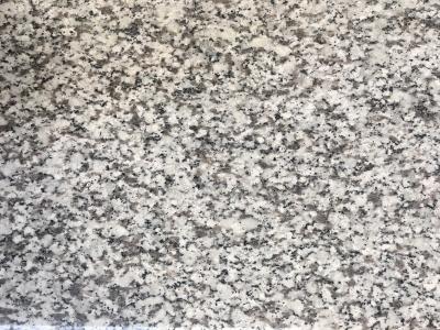 China New G439 granite countertops Grey Granite Slabs / Polished  Slabs Custom Size for sale