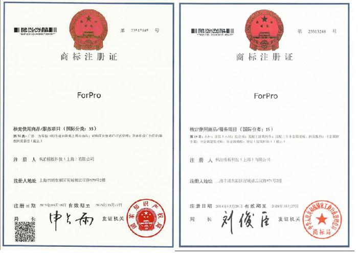  - FORPRO FORMWORK TECHNOLOGY (SHANGHAI) CO., LTD.