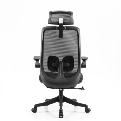 China Ergonomic Mesh Office 2D Adjustable Swivel Desk Chair High Back Flip Up Arms for sale