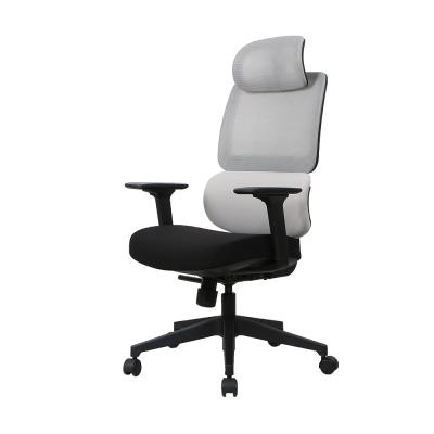 China PA Castor Full Mesh Ergonomic Office Chair Adjustable Lumbar Support for sale