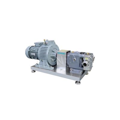 China 316 Stainless Steel Rotary Lobe Pump 2.2KW / 4KW / 5.5KW Power for sale