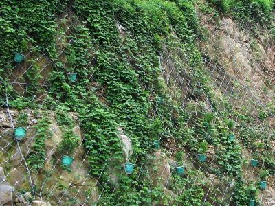 Китай Аттестация ИСО 14001 барьера плетения предохранения от камнепада отверстия диаманта продается