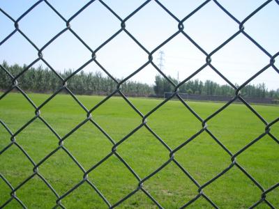 China 5m-25m Chain Link Mesh Fence PVC Coated Chain Link Fencing for sale