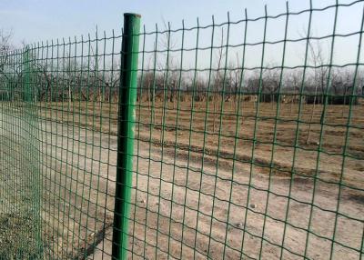 China PVC Coated Holland Wire Mesh Fence Euro Animal Garden Fence 2.5m for sale