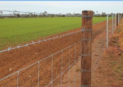 China 2 Strand Barbed Wire Fence Stainless Steel for Cattle Fence for sale