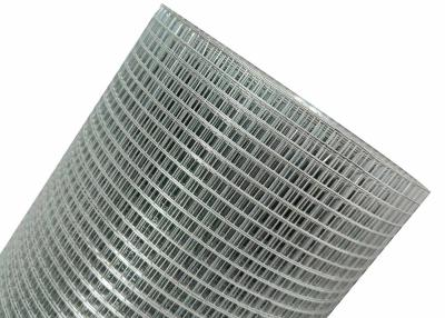 China Hot Dipped Galvanized Low Carbon Steel Wire Mesh , PVC Coated Welded Mesh Roll for sale