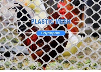 China Hexagonal Hole Plastic Wire Mesh For Grassland / Quaculture for sale