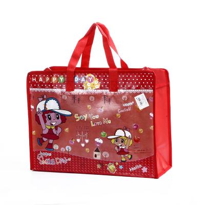 China Printed Lamintion Small Bags Non Woven Shopping Bags With Zip  Customized for sale