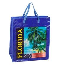 中国 Eco Friendly Reusable Tote Bag With Customized Printing Laminated Woven Handle 販売のため