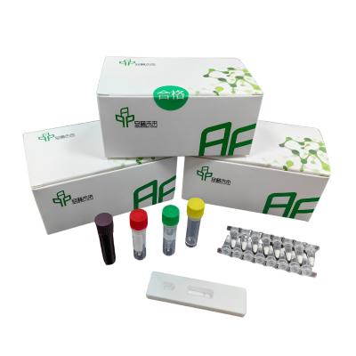 중국 DNA 동열 증폭 키트 NFO 500-1000 복사 / UL 검출 제한 48 테스트 / 상자 판매용
