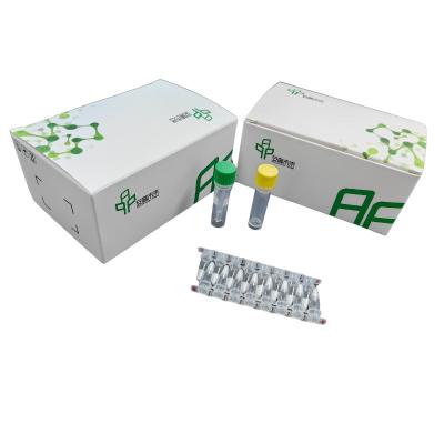 China Kit de Amplificação Isotérmica de ADN NFO para Amplificação a Temperatura Ambiental à venda