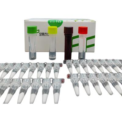 China 14 Month Validity Isothermal Amplification Kit NFO Keep Away From Light Keep Away From Light for sale