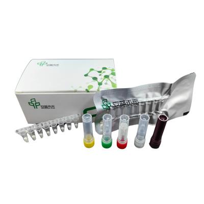 China Efficient Enzymes SARS-CoV-2 Detection Kit Below 20 Degree For Reliable Results for sale