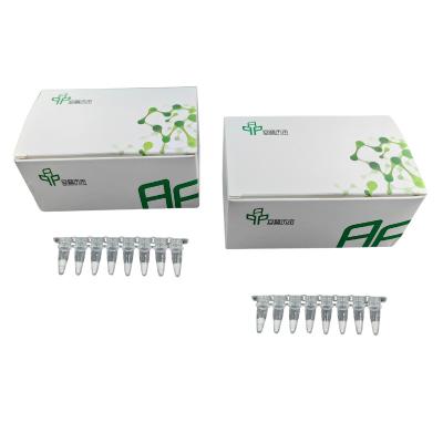 China Lyophilized RNA Amplification Kit Below 20 Degree Format Easy And Efficient for sale