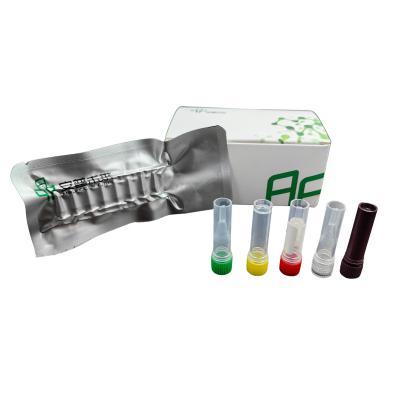 China 48 Tests/Box Buffers SARS-CoV-2 Detection Kit For Accurate Results for sale
