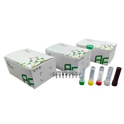 China Fast And Accurate SARS-CoV-2 Detection Kit With Nasopharyngeal Swab Sampling for sale