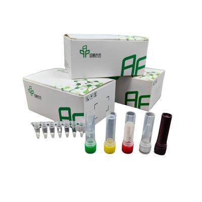 China High Sensitivity RNA Amplification With Improved Detection Isothermal Kit for sale