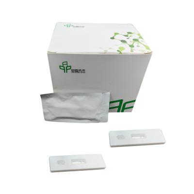 China 48 Ensaios / Kit de Amplificação Isotérmica de Caixa 5-20 minutos à venda