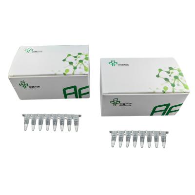 China Basic RNA Amplification Kit Stable Easy Operate 14 Months Validity for sale