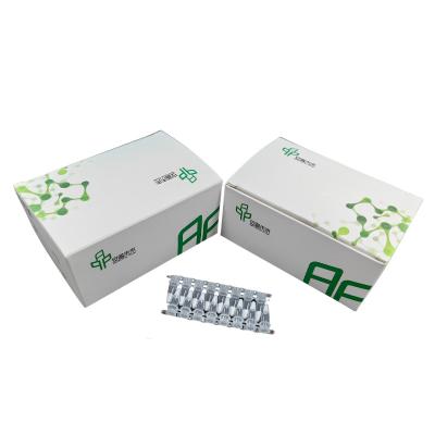 China High Performance Isothermal Amplification Kit For Accurate Diagnostics for sale