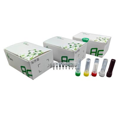 China Kit de detecção isotérmica do parvovírus felino para doenças animais por fluorescência à venda