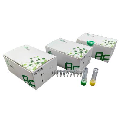 China RNA Basic Isothermal Amplification PCR Kit 5-20mins for sale