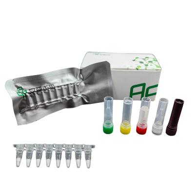 China Advanced Diagnosis Treatment Nucleic Acid Detection Shrimp Hemocytoiridescence Virus Livestock Disease Kit for sale
