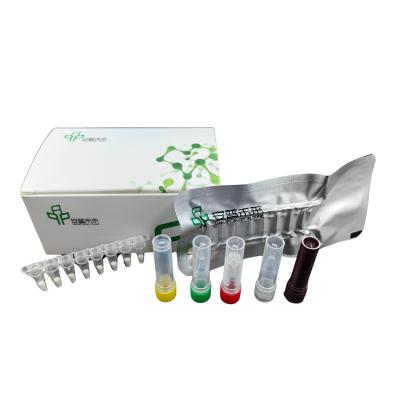 China Nucleic Acid Detection Shrimp Acute Hepatopancreatic Necrosis Livestock Disease Kit for sale