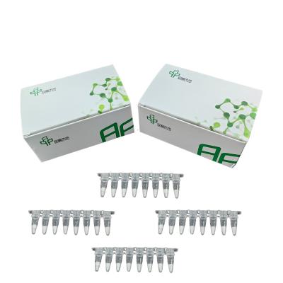 Chine Kit d'amplification PCR isotherme Réactif séché par congélation à vendre