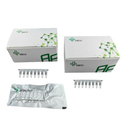 China Kit de Amplificação de PCR de ARN simples e rápido para alcançar resultados ótimos à venda