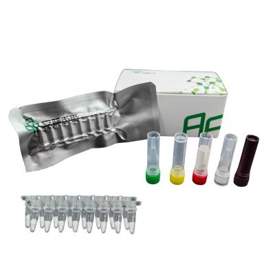 China Comprehensive Monitoring Early Detection Nucleic Acid Detection Bovine Viral Diarrhea Virus Livestock Disease Kit for sale