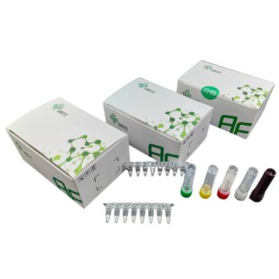 China Respiratory Syncytial Virus Virus Detection Kit Isothermal For Rapid Diagnosis for sale