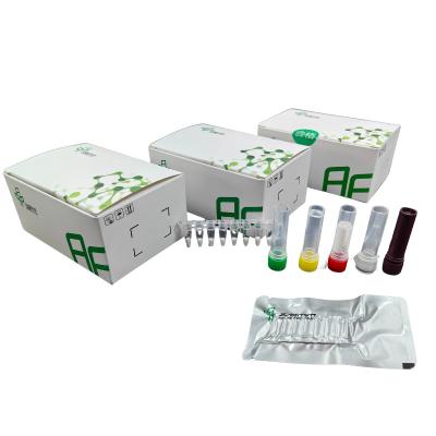 China Quick Accurate Diagnosis Mycoplasma Pneumoniae Isothermal Pathogen Detection Kit for sale