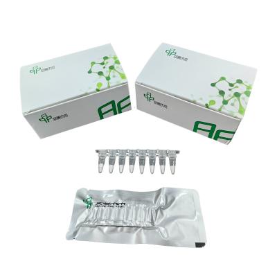 China Accurate Results RNA Amplification Kit High Sensitivity for sale