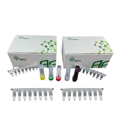 China Influenza B Virus Isothermal NFO Bacteria Detection Kit With 5-20mins for sale