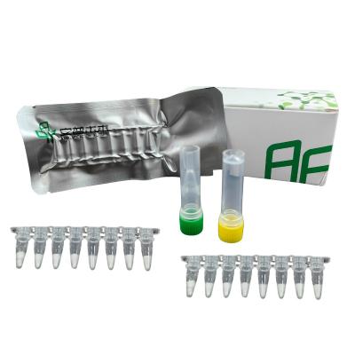 China 500-1000 Copies/UL Isothermal Nucleic Acid Amplification Kit NFO 5-20mins Test 14 Months Storage for sale