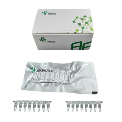 China Multiplex DNA Amplification Kit One Step Processing for sale