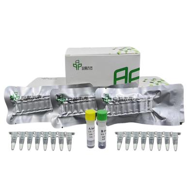 China Kit de amplificación isotérmica de ADN de alta fidelidad 20 minutos en venta