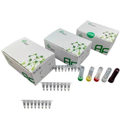 China 5-20 Minutes Livestock Disease Kit With African Swine Fever Virus Test Kit For Nucleic Acid Detection for sale