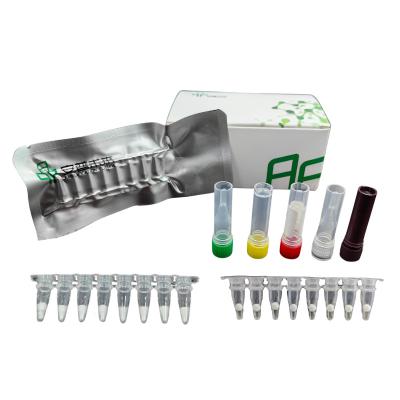 China 48 Tests/Kit Livestock Disease Porcine Epidemic Diarrhea Virus Test Kit for sale