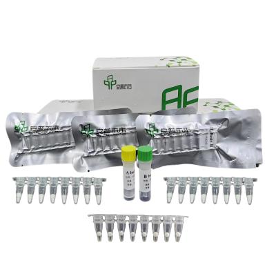 China 48 Tests / Box Isothermal DNA Amplification Kit With Reagents Buffers Enzymes for sale