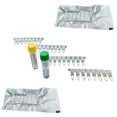 China Isothermal Nucleic Acid Amplification Kit 39-42 Degree 5-20 Minutes 14 Month Validity for sale