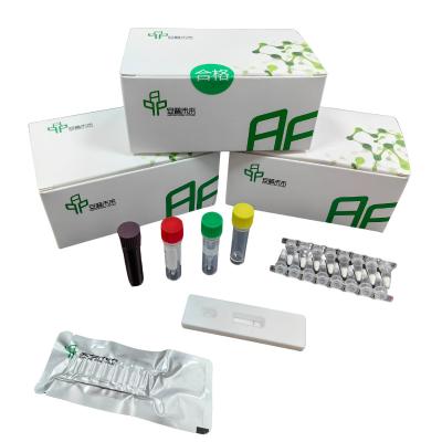 China 0157:H7 Kit de detecção de E. coli hemorrágica EXO com detector de fluorescência isotérmica à venda