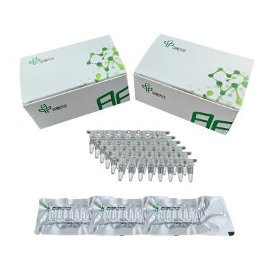 China Easy Operate Stable Isothermal Amplification Kit No Expensive PCR Apparatus for sale